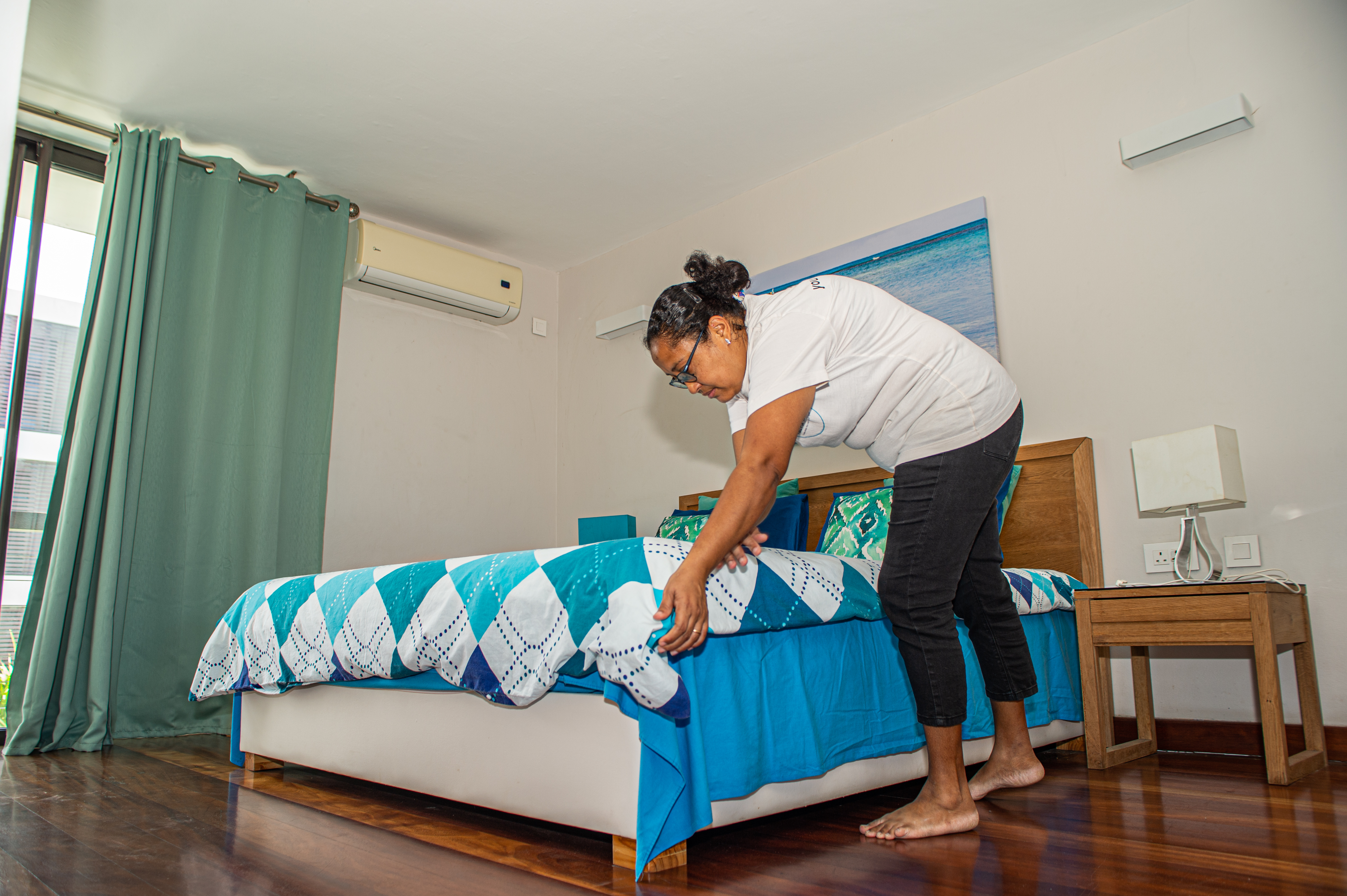 Maid Service & Windows Cleaning